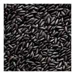 FARM 29- Fresh from Farmers Black Rice (1000 Gm) (TAOPL-1048)